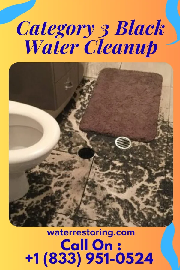 Category 3 Black Water Cleanup in Lakewood, IL