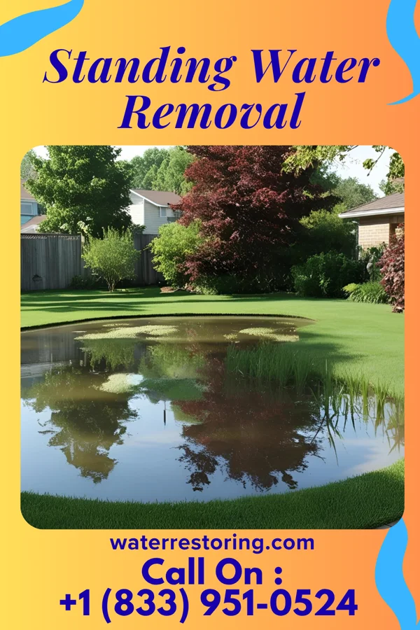Standing Water Removal in Lakewood, IL